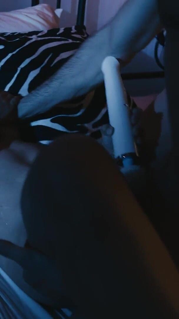 TerrorXXX: Mr. Perfect do aplicativo de namoro com Dana Vespoli, Damon...