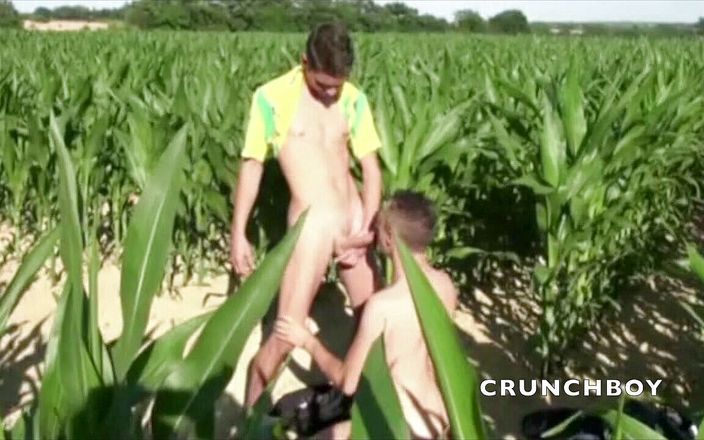 Crunch Boy: Sürtük köşe tarlasında Fransız ibne tarafından sikiliyor