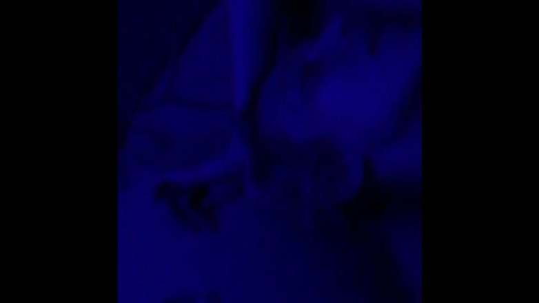 We the North Entertainment: Cassie Quinn masturbating with my cock