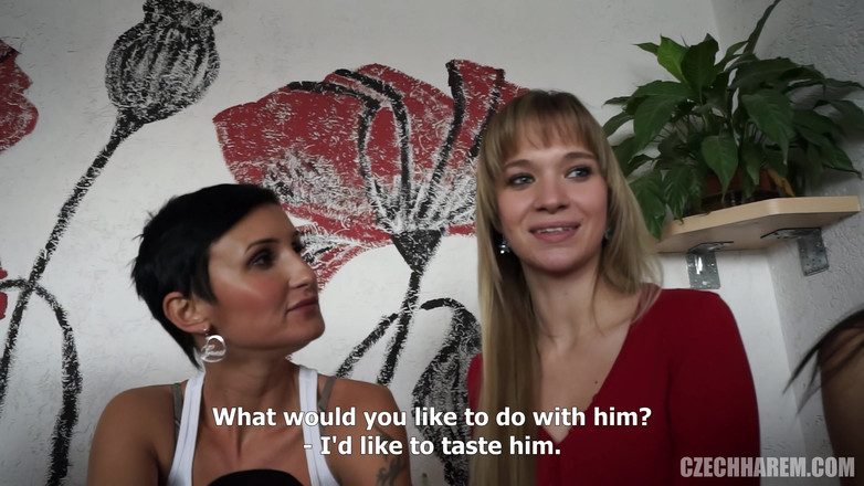 Czech Harem: Tschechischer harem 1 - teil 1 30 geile schönheiten - teil 1