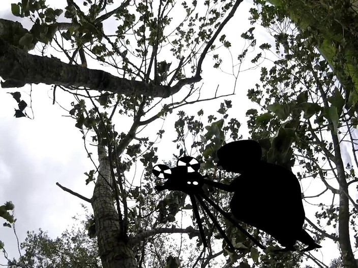 Andy: Bölüm 2 Yürüyüş 46