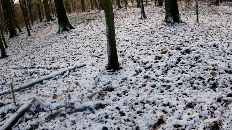 Bouncy Tits Action: 森の中で裸の胸に雪玉を投げる