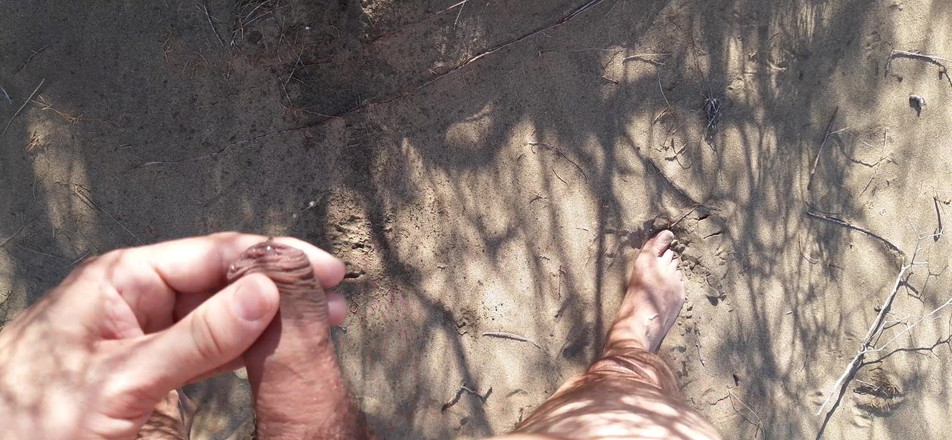 Orinadas_jmv54: Maspalomas Kumulları