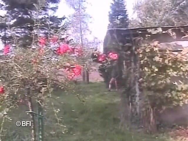 Hardcore Lovers: Дивні файли 85