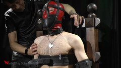 Wanheldvig: Zeus mond gesnoerd onder masker en elektrisch voor voeten