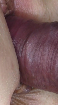 Pornografische close-up van seksuele omgang tussen man en vrouw
