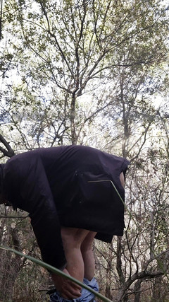 Giodicaprio: La puttana ha del succo da riempire