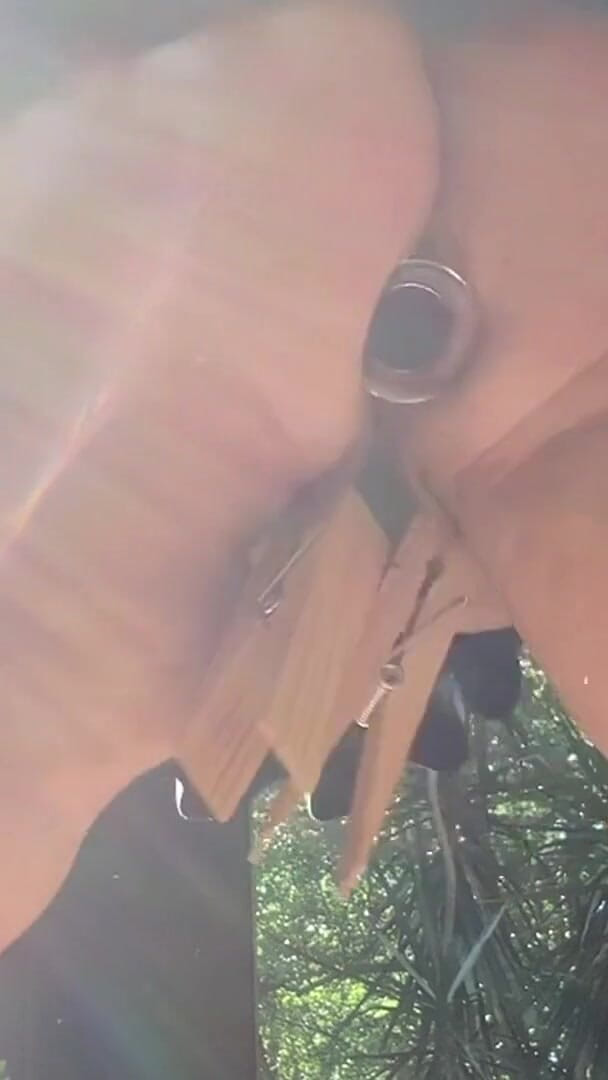 Back Porch Butt Plug (Kinkymidwestmeadows)