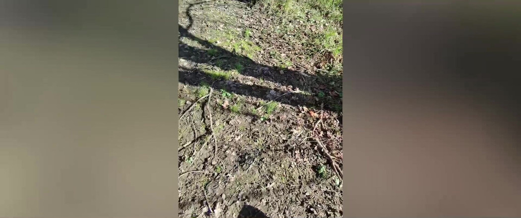 Hot dick in your ass: Hetero ženatý chlap hladový po mém ptákovi v výletní oblasti.