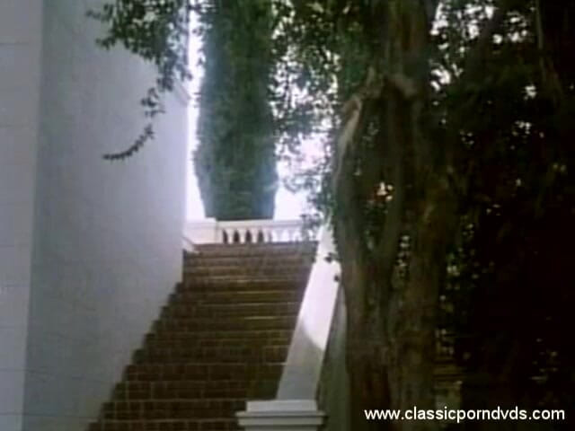 Classic Porn DVDs: Klasik porno dvd'leri marilyn chambers doyumsuz p