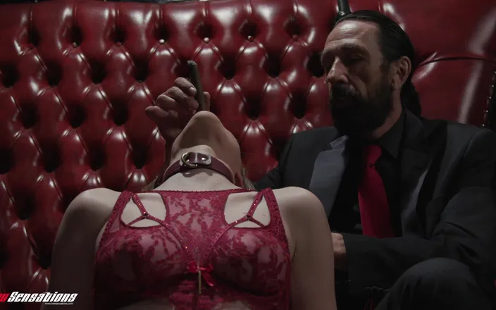 New Sensations: Ashley Meets the Most Interesting Man