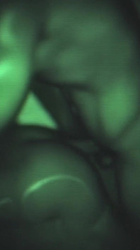 Night Vision Interracial Cuckold