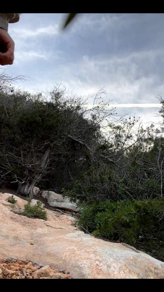 Daddybearvlc: Stream rozpoczął 02.03.2024 16:49