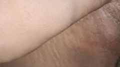 Do You Like a Pussy