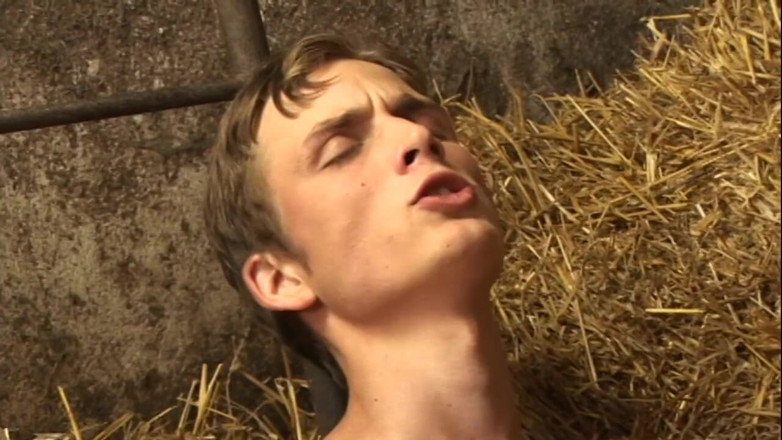 Boys boyz: Eager Twinks Swap Blowjobs and Finish with Facial