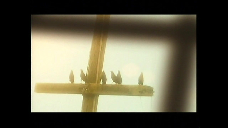 The hunters TV - (The best full movies xxx): एवा द वाइल्ड