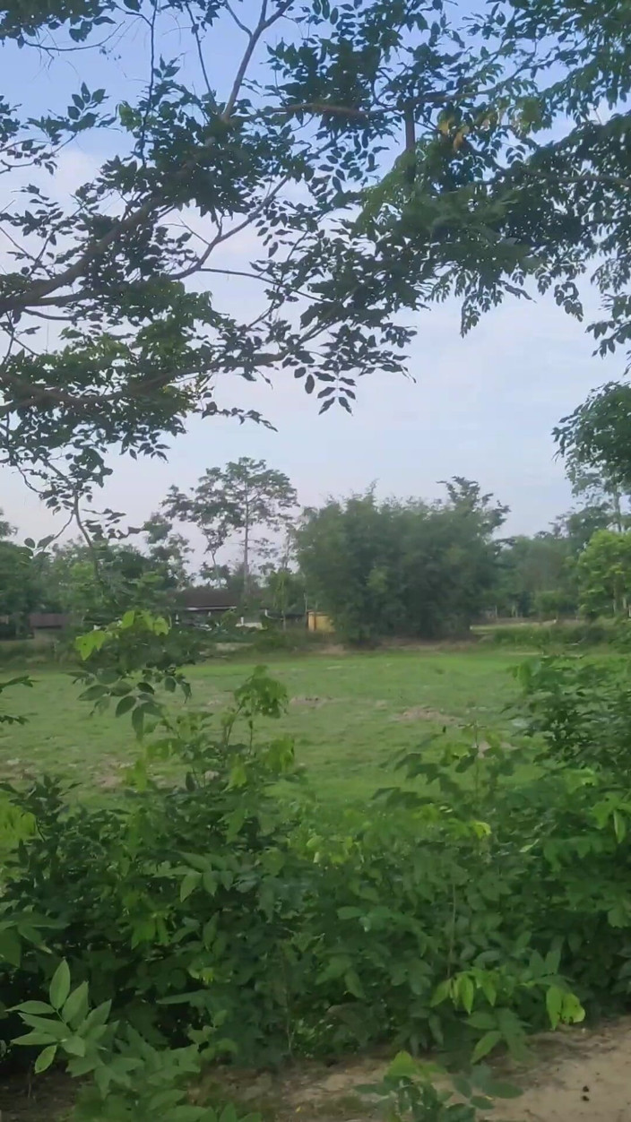 Assamesebodoboy: Brazilian gay Anal masturbation at outdoor place