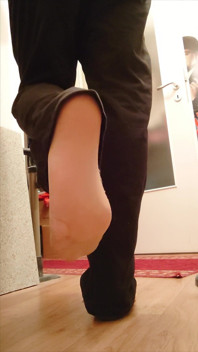 Fresh From Shopping in the Morning