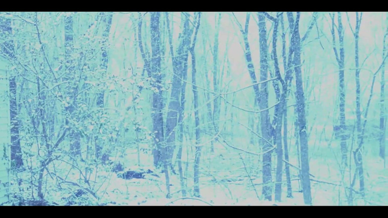 PaintedRose: Compilazione