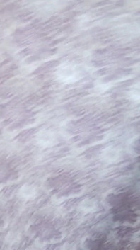 Rita Vegas - Vid_20241127_105126