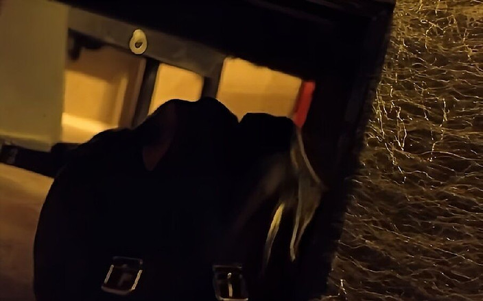 Hanna Engels: 한나 엥겔스 - 왕좌 아래에서 훈련 - 완전한 제출은 명확한 명령을 충족