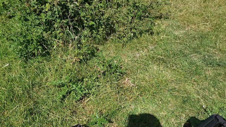 CharnElle: Het knull och avsugning i Normandie