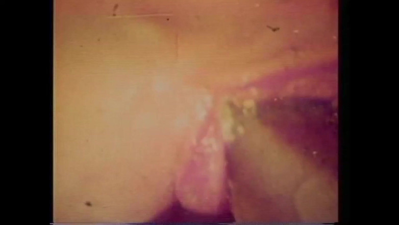 The Unforgettable: Vanessa Vulgární prase