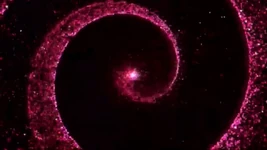 Verbal Soft Spoken - Confusion