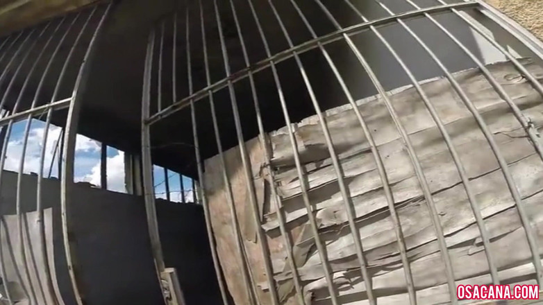 World Gay: Am sărit peste perete ca să mă masturbez în magazia care...