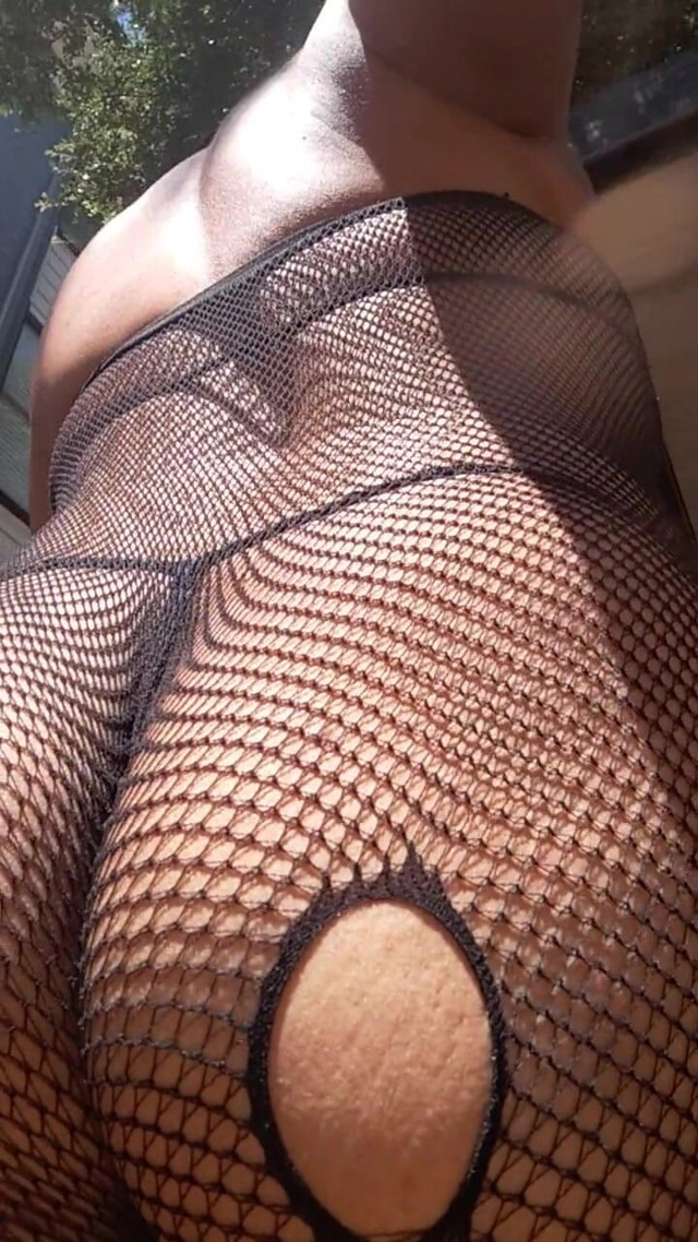 Bee's Bodystocking Walk (Knky bee)