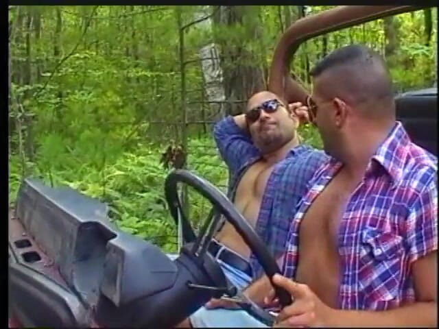 Gays Case: En el bosque, chicos calientes y peludos pueden chuparse discretamente