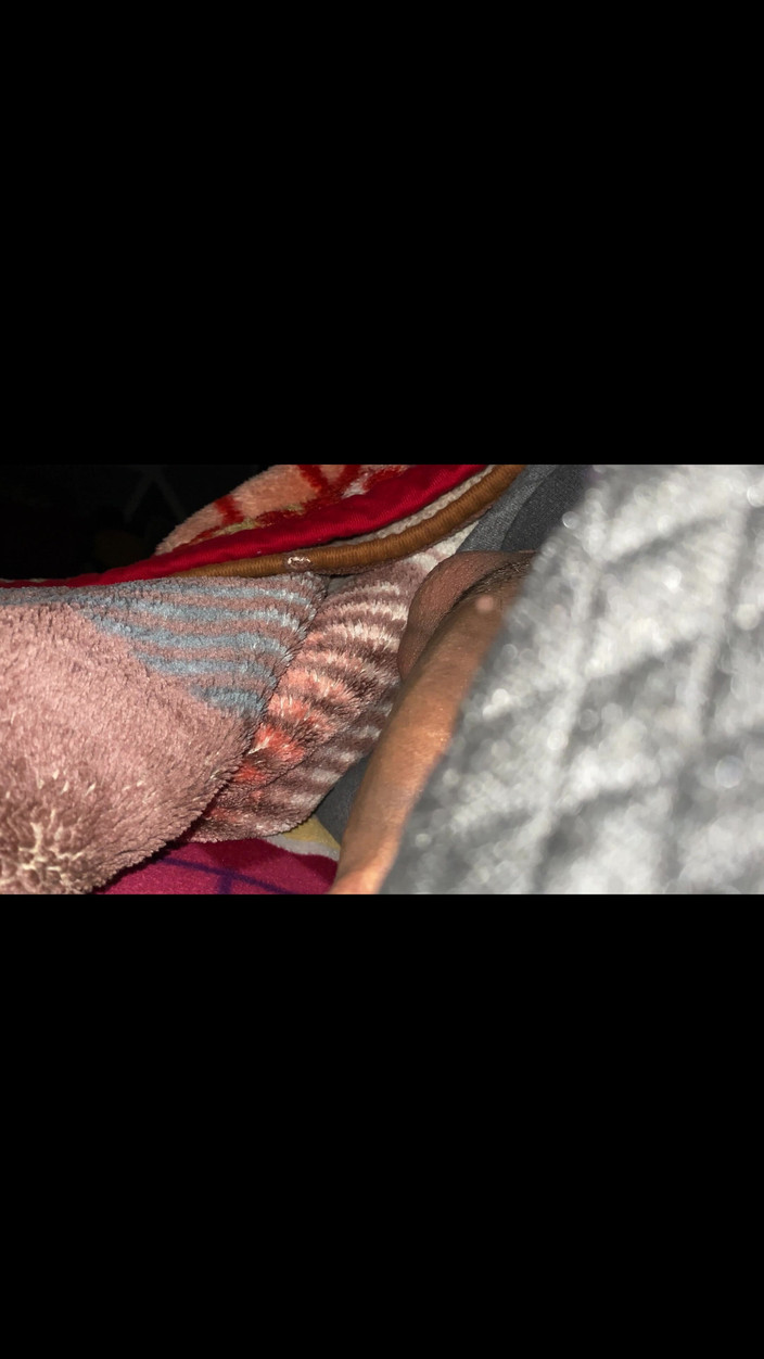 Shonai: După atâtea zile, laptele a ieșit astăzi, mi-a plăcut să...