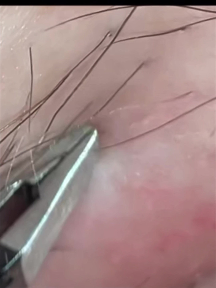 SatisfyingDillyDally: Hints naar gedetailleerde soepelheid