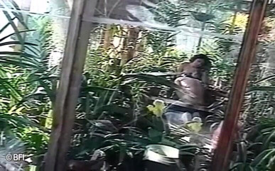 Ladyboy Paradise: Dia dildo lelaki
