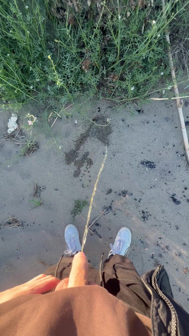 Peeing at Beach, Everyone Watched (Dirty Dogy)