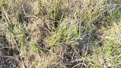 Bayer911: Pisse en plein air