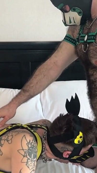 Pups excitat futându-se