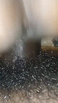 För första gången knullade pojken sin vän i en bakifrån på natten