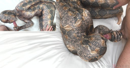 Nylon Xtreme: Nora fox snake encasement zentai alla pecorina