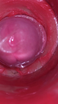 Videocamera dentro la figa: una potente sborrata nella figa! Il miglior anale interno in 4K Più sperma