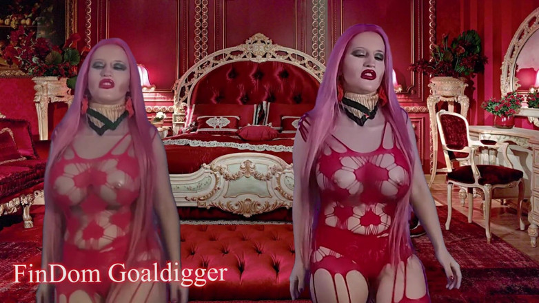 FinDom Goaldigger: Goonerland