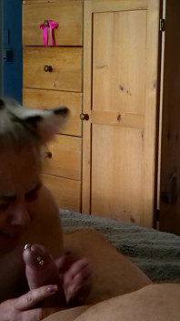 Kitty Meow Meow
