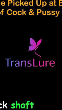 Englische Audio-sexgeschichte - große schüchterne transe in der bar abgeholt - leidenschaftliche nacht von schwanz & muschi - teil 2