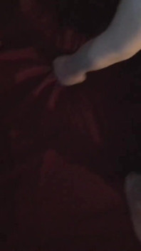 Wajahku dicrot sperma enak!! Kenikmatan itu adalah milikku! POV Facial!