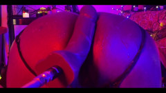 DipsoDeep: बंडल