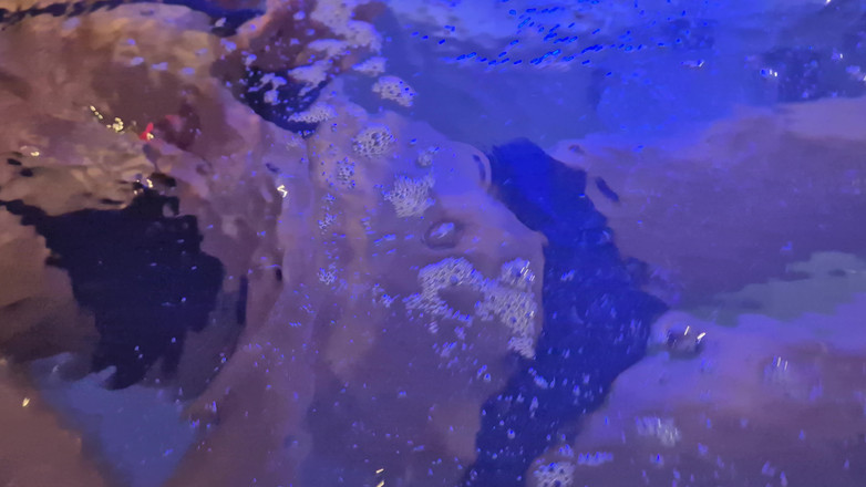 chodasse13: Sesiune de jacuzzi
