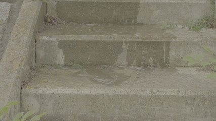 Venus Aurea: Young Ginger Girl Pisses on the Staircase