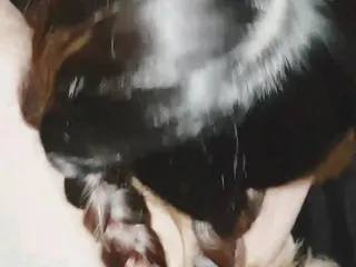 MartiiAciar: The Best Perfect Ass