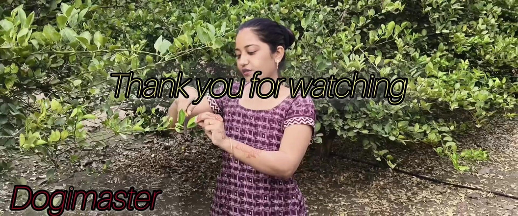 Dogimaster: 农村女孩在农场里享受 - 完全享受与男朋友的性爱