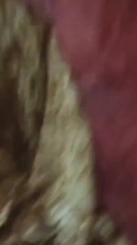 Desi Sexy Priya Bhabhi Hard Fucking Hotwife